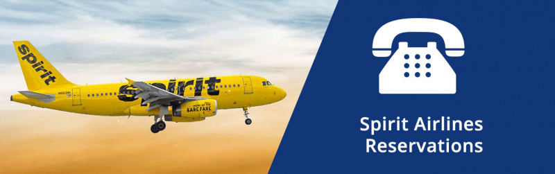 Файл:Spirit airlines reservation.jpg