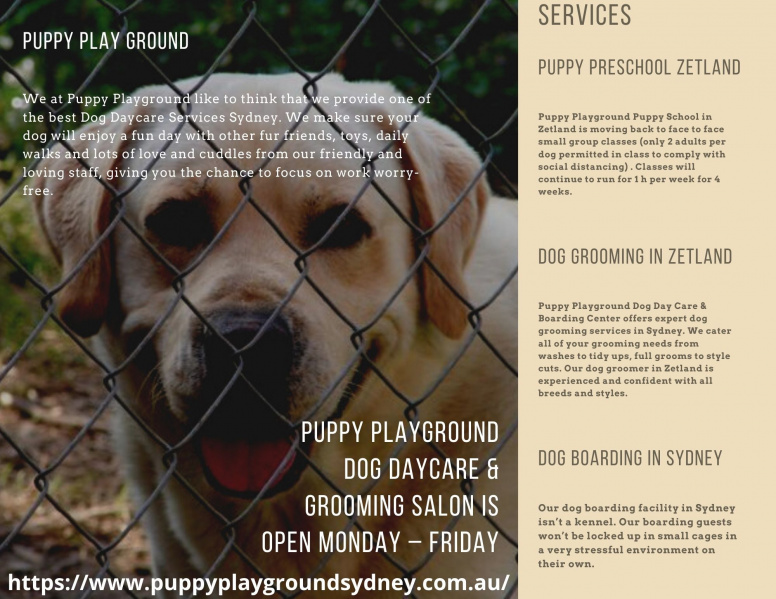 Файл:Puppy school in Sydney.jpeg